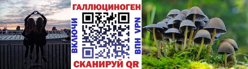Псилоцибиновые грибы Psilocybe  Жуковка 